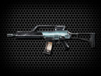 G36k