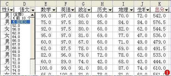 Excel筛选功能应用