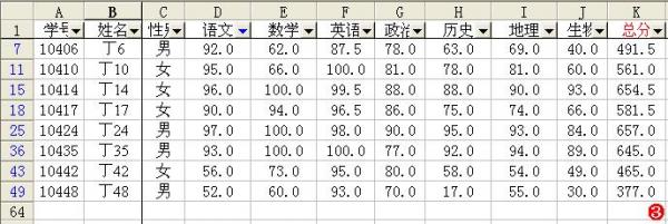 Excel筛选功能应用