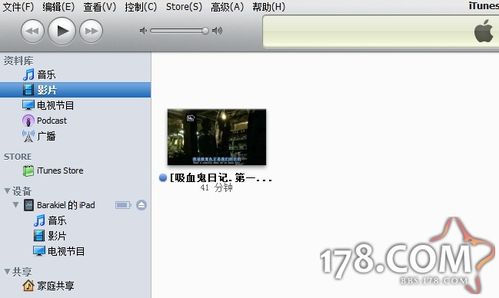 iPadͬӰ