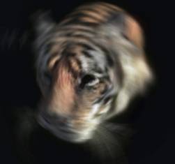 photoshop˾̳-ģ