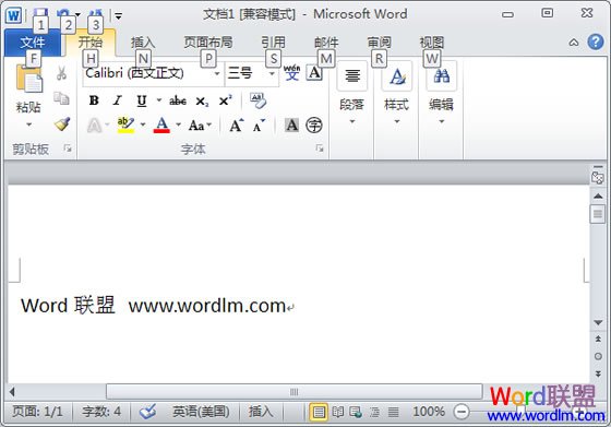 Office2010ݼ
