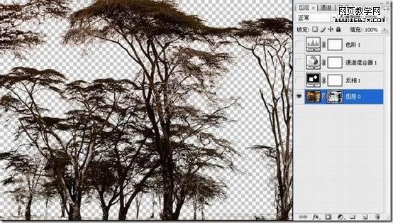 photoshopͼ̳-÷ٳľ