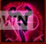 Ѹwww.yxdown.com