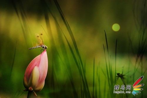 黯