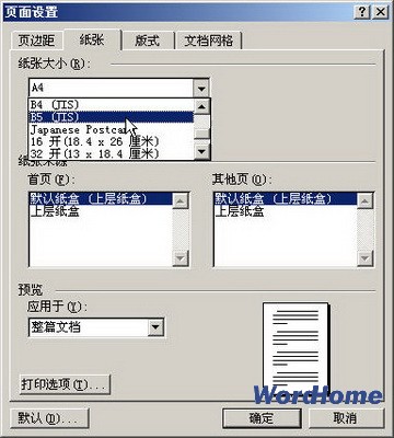 Word 2003ֽŴС