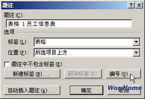Word2007Ϊע