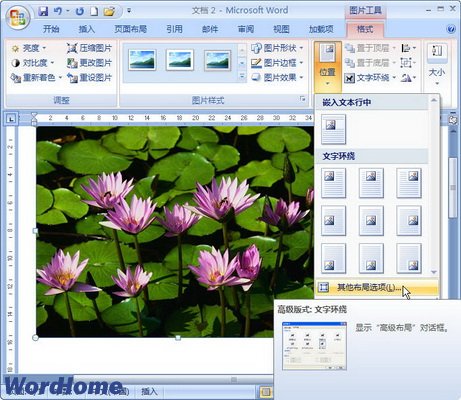 Word2007ͼƬλõĵ