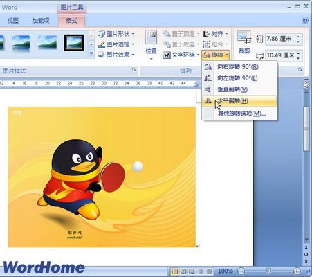 word2007ʵͼƬת