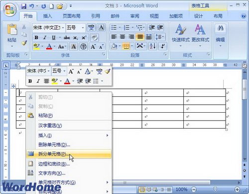 Word2007ֵԪ