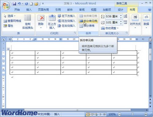 Word2007ֵԪ