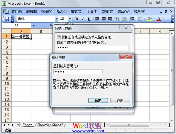 Excel 2003Ԫ񱣻
