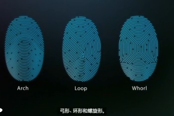 iphone5sָʶôʹã