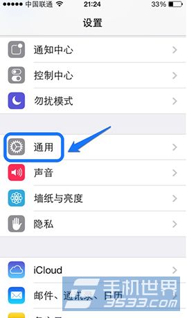 iPhone5sθָ