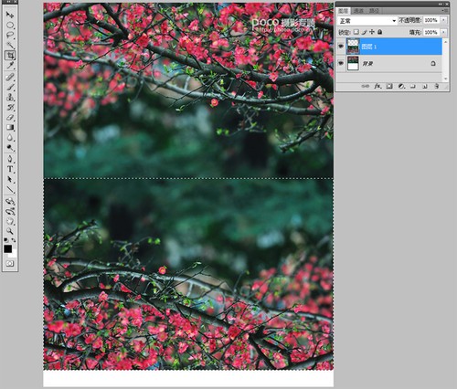 PhotoshopӰƷ