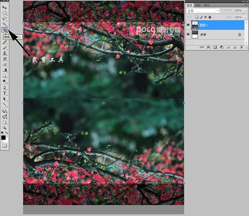 PhotoshopӰƷ
