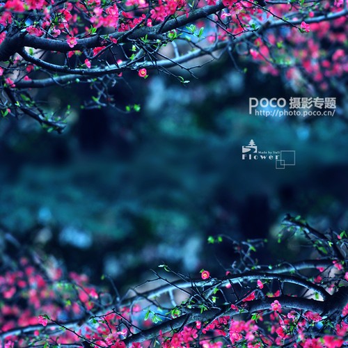 PhotoshopӰƷ