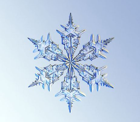 PSƯıЧ