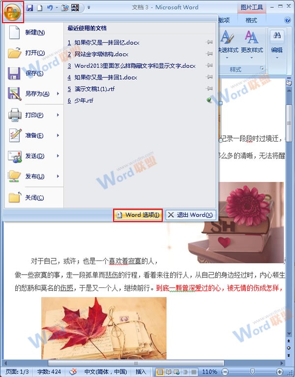 Word2007ͨͼƬٶȣ 