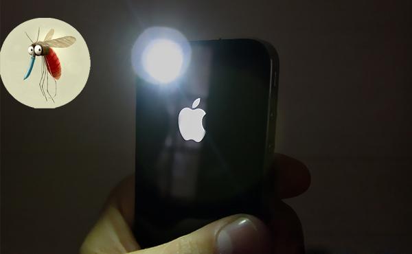 6iPhone