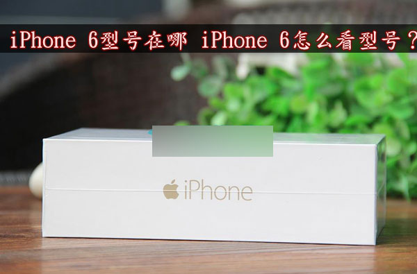 iPhone 6ֻͺô_iPhone 6ֻͲ鿴