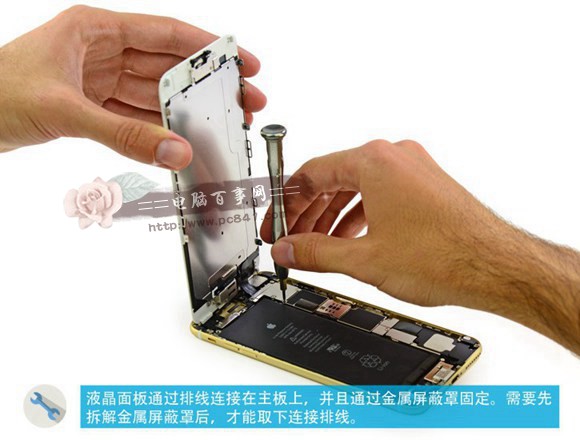 iPhone6ô iPhone6/6 PlusĻ̳