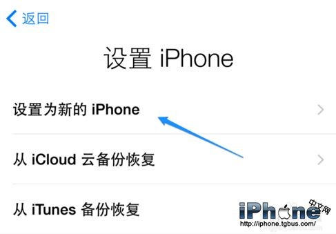 iPhone̳