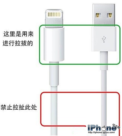 iPhoneߵ5