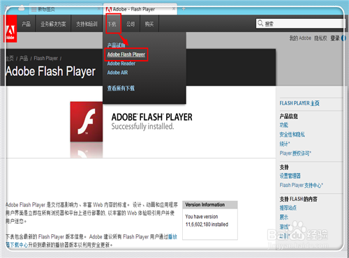 flash playerô