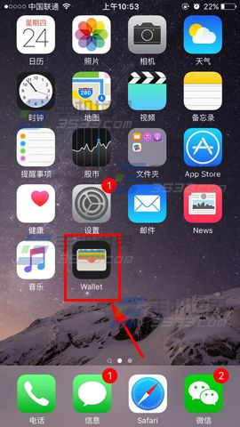 Apple Pay