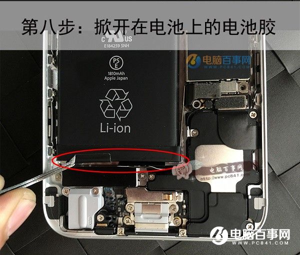 iPhone6logoθװ