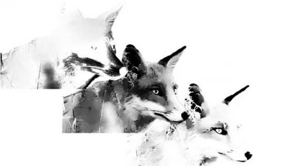 īͷôPS˲㣡