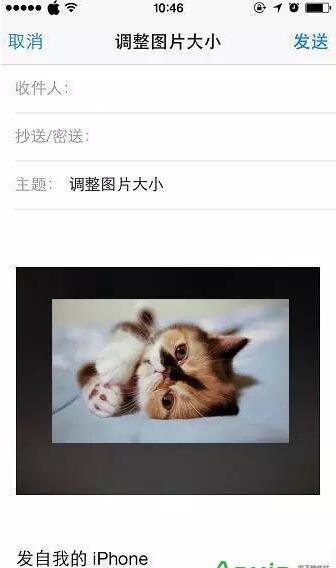 iPhoneôƬС