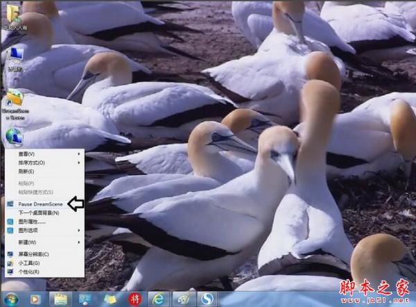 win7ö̬