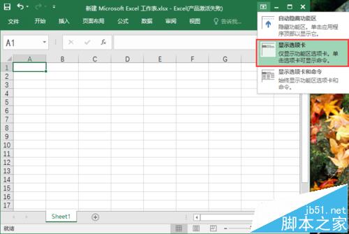 excel2016ôʾ/