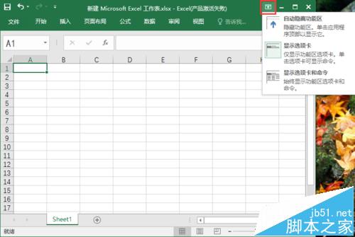 excel2016ôʾ/