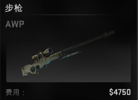 csgo۸ȫ