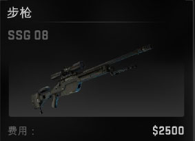 csgo۸ȫ