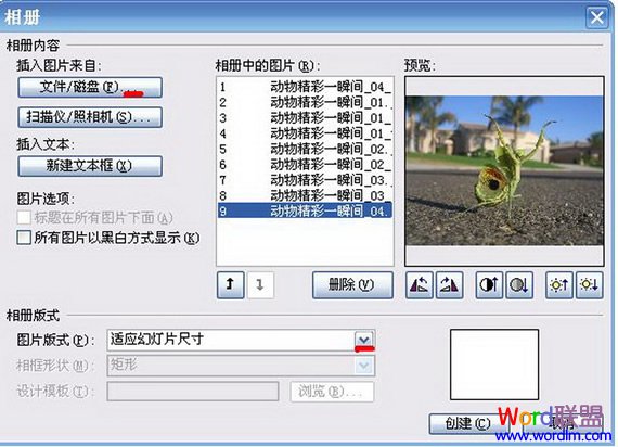 ûɣٽѧʹPowerPoint̳